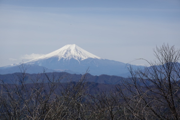 御前山でカタクリを愛でる。_a0138134_10331111.jpeg