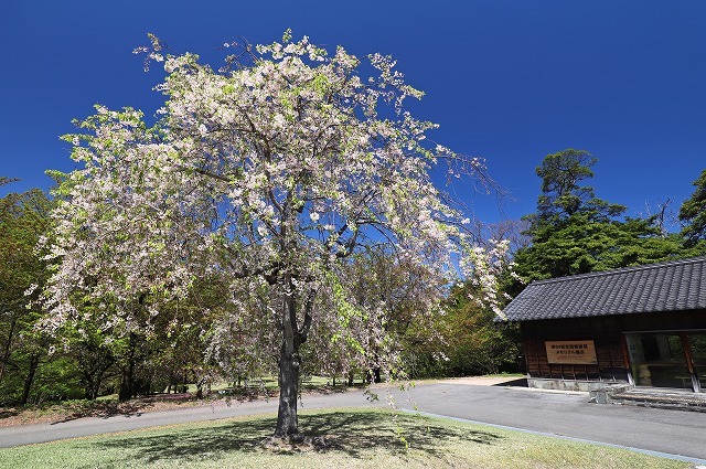 a0242438_07280945.jpg
