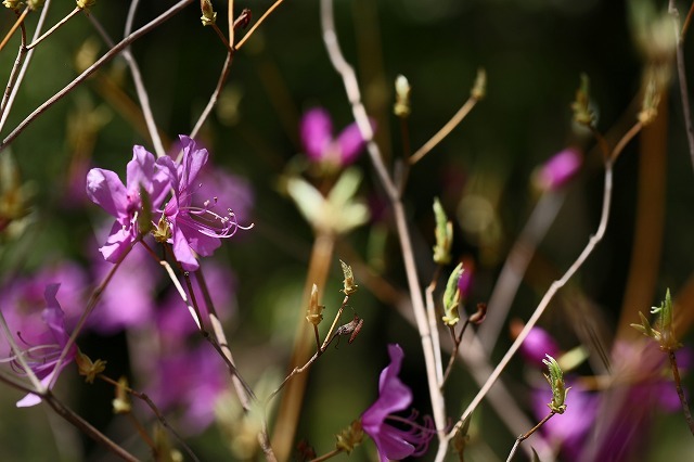 a0242438_07281965.jpg