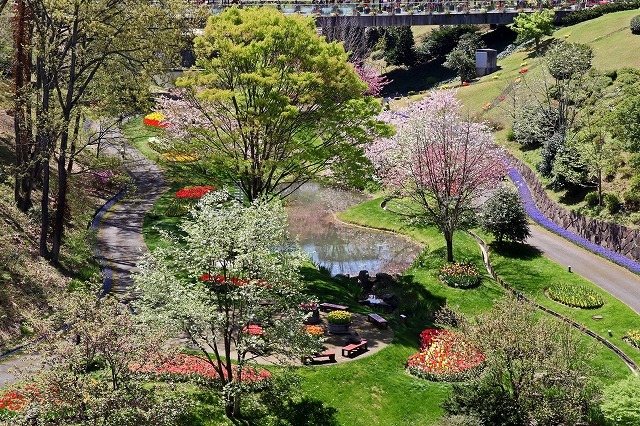 a0242438_07282929.jpg
