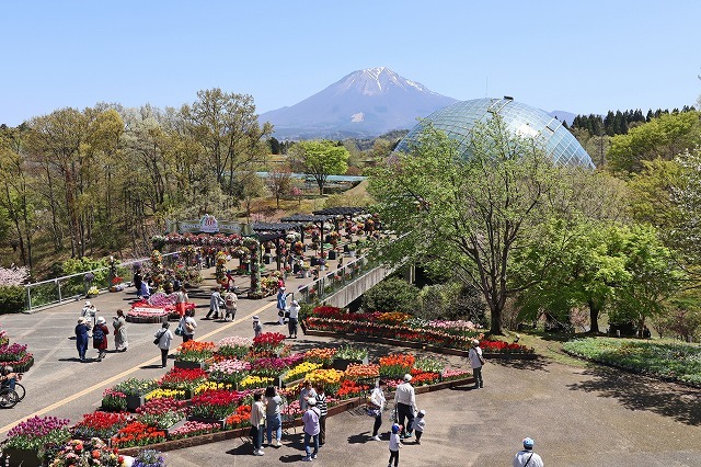 a0242438_07283853.jpg