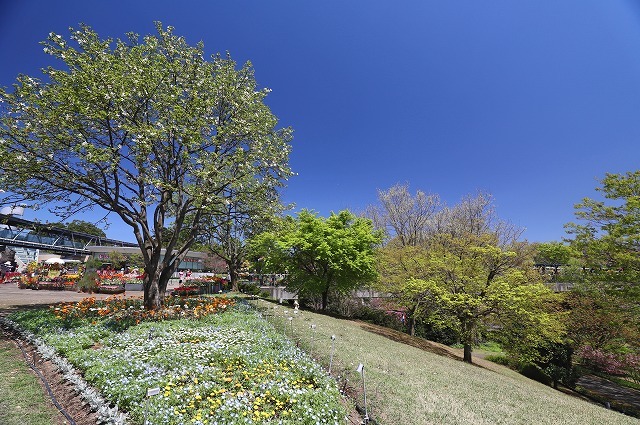 a0242438_07290876.jpg