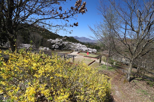 a0242438_07383658.jpg