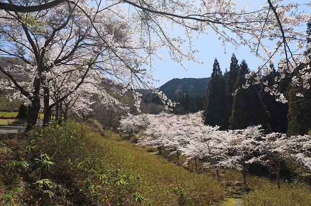 a0242438_07385011.jpg