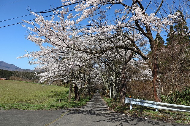 a0242438_07385139.jpg