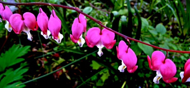    karip     ∞     YUKA_a0171939_00533135.jpg