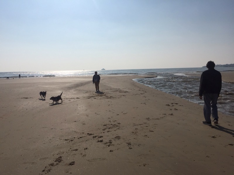 b0069848_05113410.jpeg