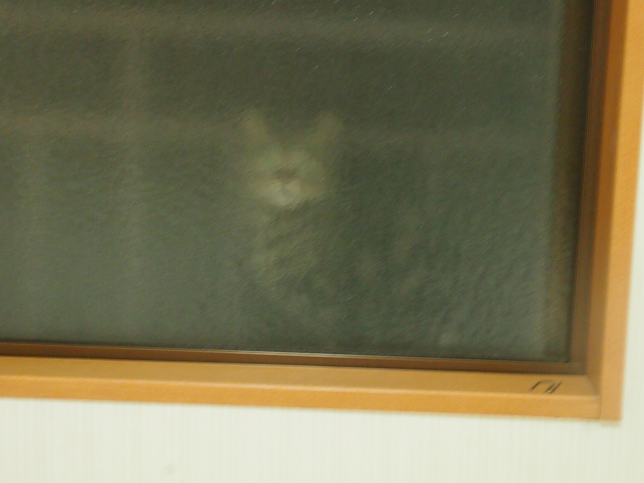 猫の森、事件帖・・・恋の駆け引き_b0396150_10251623.jpg