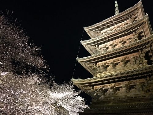 京都の旅\'19 Ⅲ　京都桜旅その１_e0326953_17374063.jpg