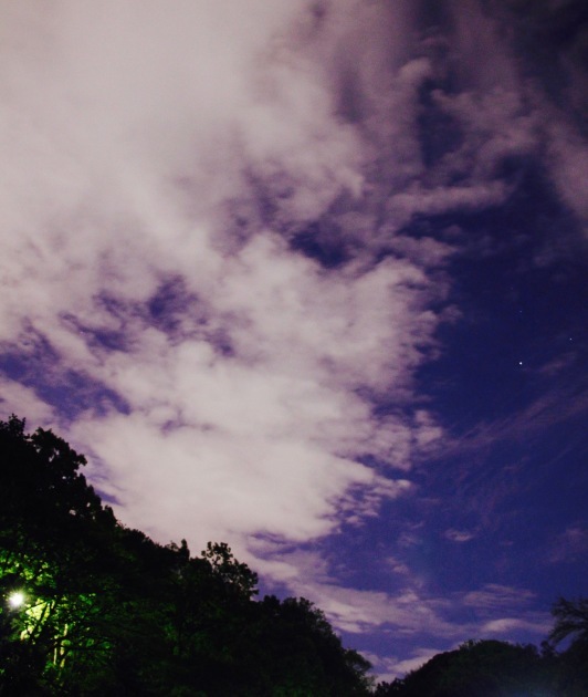 a0248459_14455906.jpg