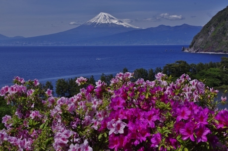 最新富士山の撮影記録_d0229560_11592486.jpg