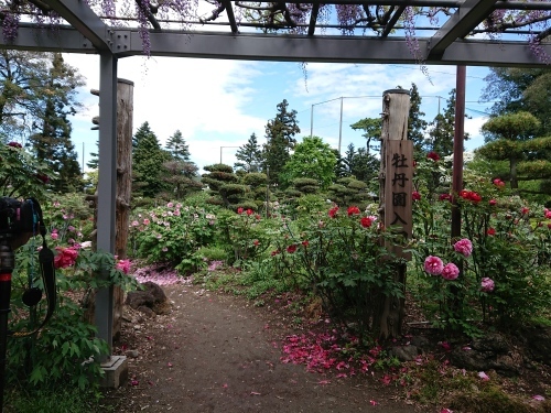 c0100865_10470869.jpg
