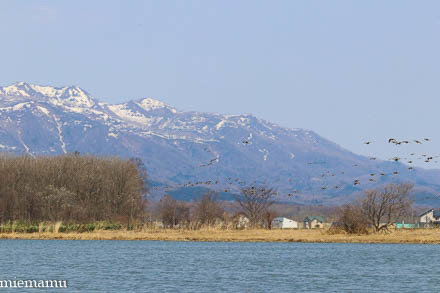 d0340565_20173706.jpg