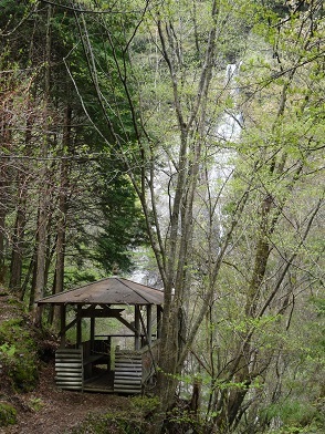 c0303868_08400127.jpg