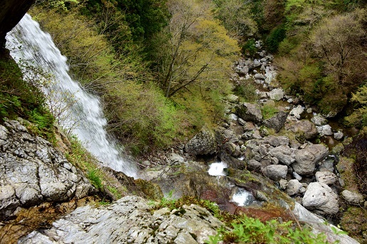 c0303868_08431644.jpg