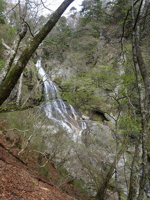 c0303868_08442195.jpg