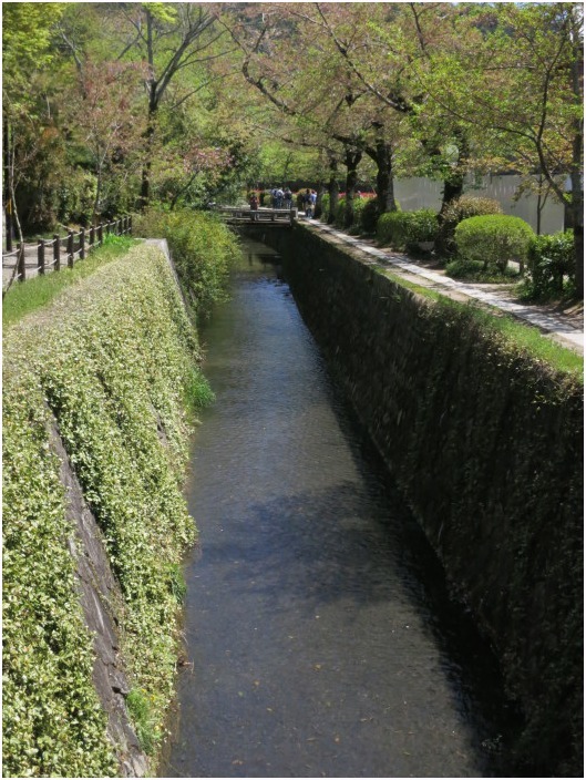 < 哲学の道 >_c0036080_11172632.jpg