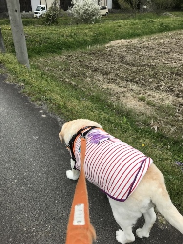 f0315081_17114078.jpeg