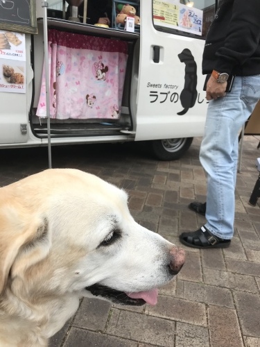 f0315081_17133433.jpeg