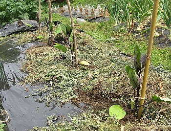 f0003283_08190825.jpg