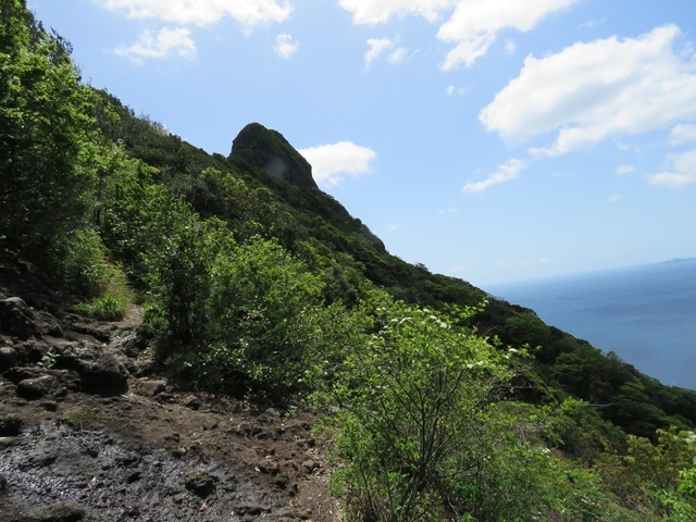 f0357487_20375183.jpg