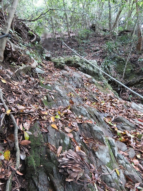 f0357487_20480782.jpg
