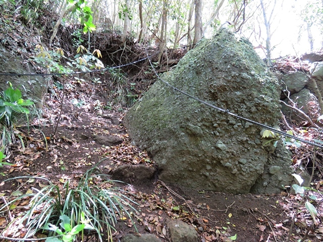 f0357487_20484394.jpg