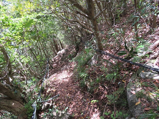 f0357487_20510589.jpg