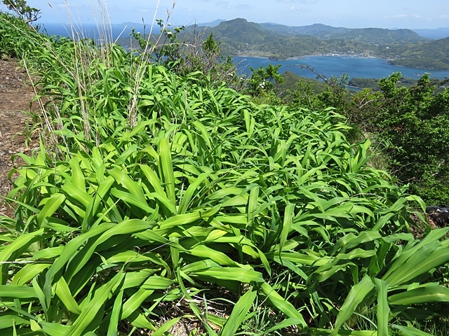f0357487_20544343.jpg