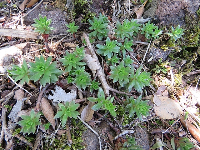 f0357487_20573123.jpg