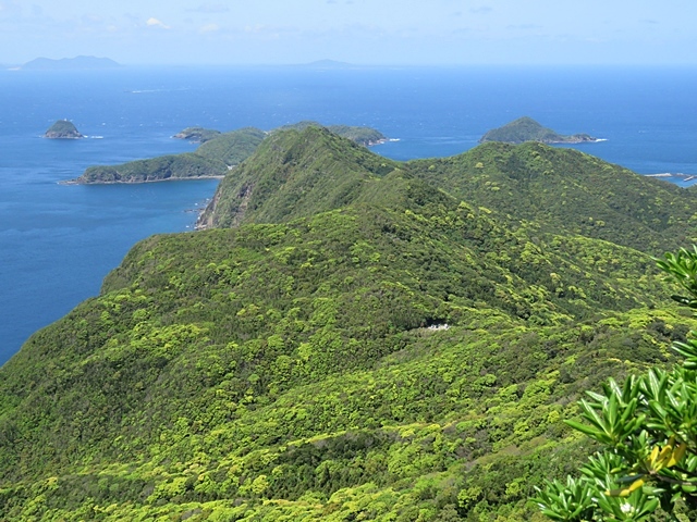 f0357487_21004771.jpg