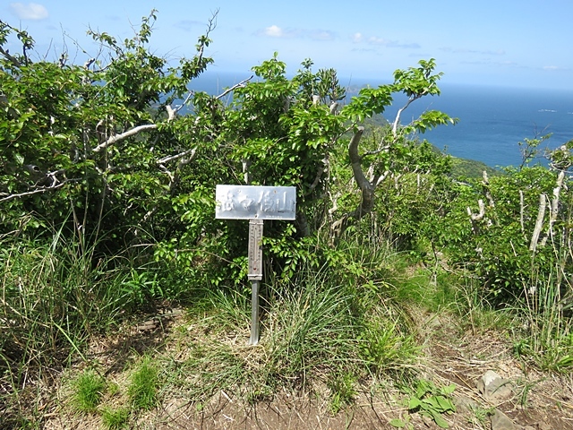 f0357487_21012747.jpg