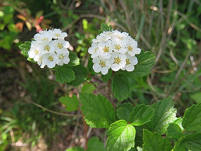 f0357487_22160930.jpg