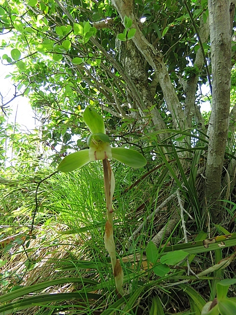 f0357487_22173680.jpg