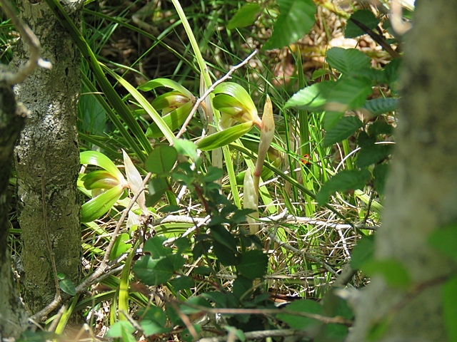 f0357487_22190086.jpg
