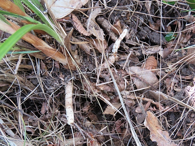 f0357487_22200308.jpg