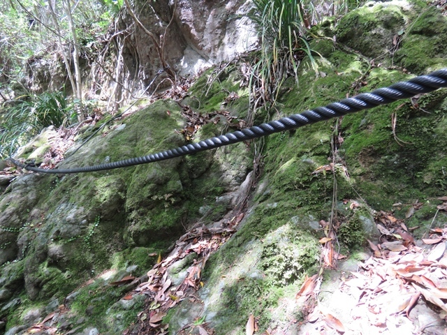 f0357487_22284879.jpg