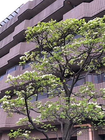 f0377688_08062005.jpg