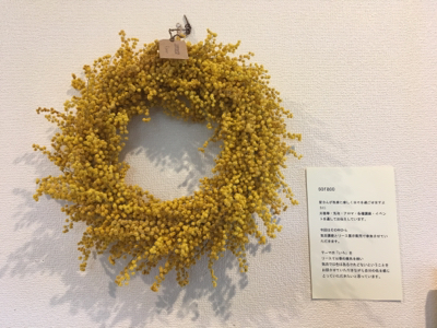 soracotoと気功講座と_d0261589_11122560.jpg