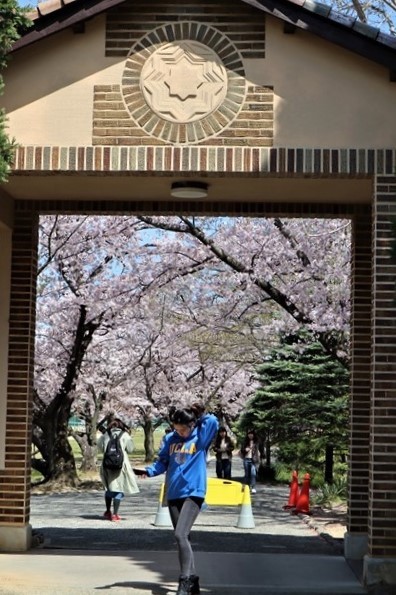 私の愛する街西宮市、阪神淡路大震災からの復興23年後の姿・・・復興した文教都市西宮、名門校神戸女学院・関西学院大学の美しさ_d0181492_21000330.jpg