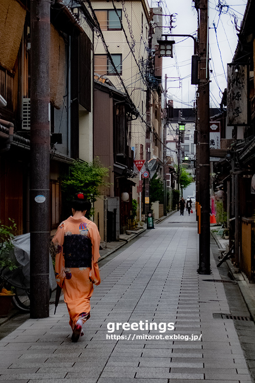 挨拶まわり_d0039493_19253159.jpg