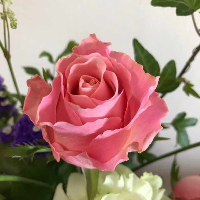 フルールポット_f0204295_13573657.jpg
