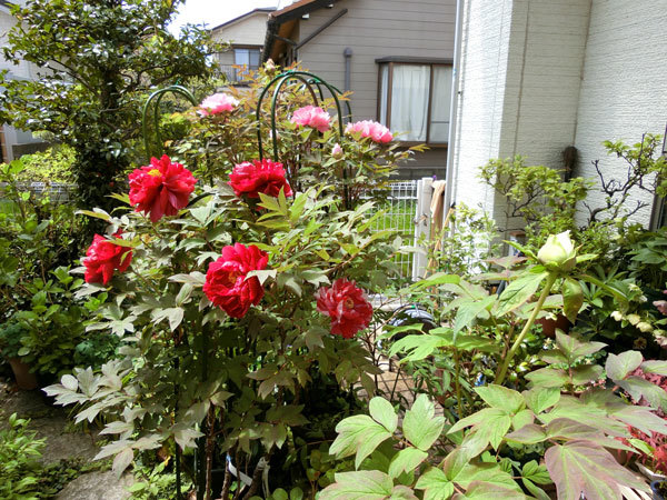 e0131399_23204946.jpg