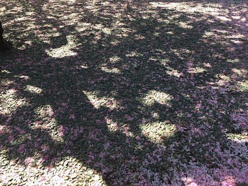f0108399_09062242.jpg