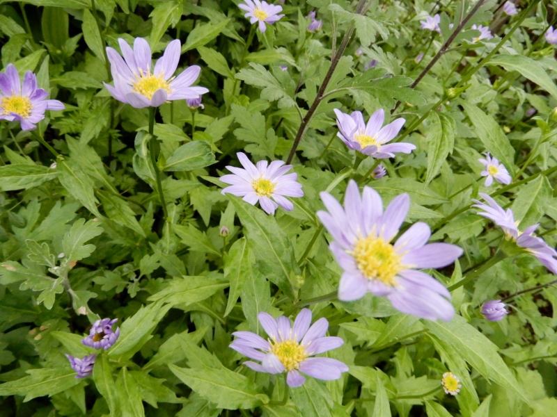 e0025300_19253391.jpg
