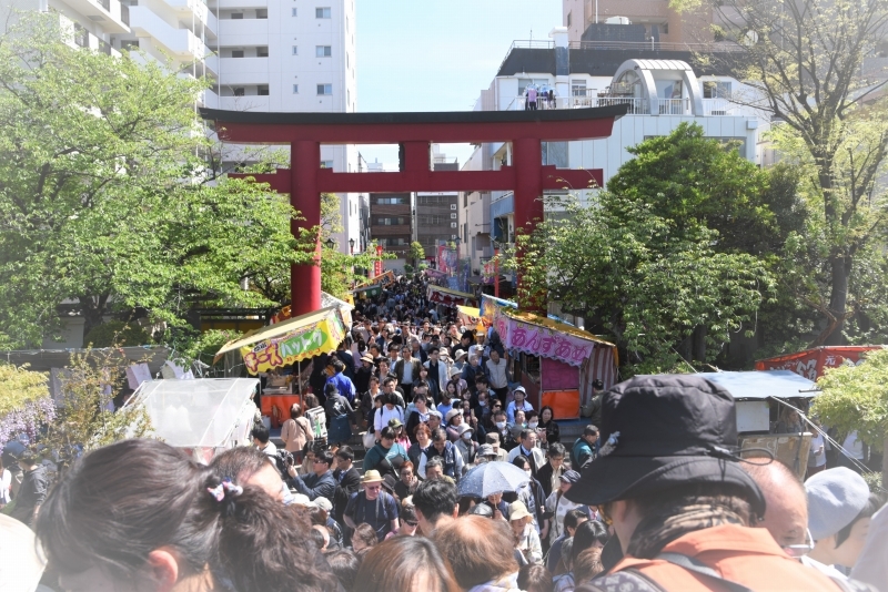 亀戸天神の藤まつり_a0169902_21195733.jpg