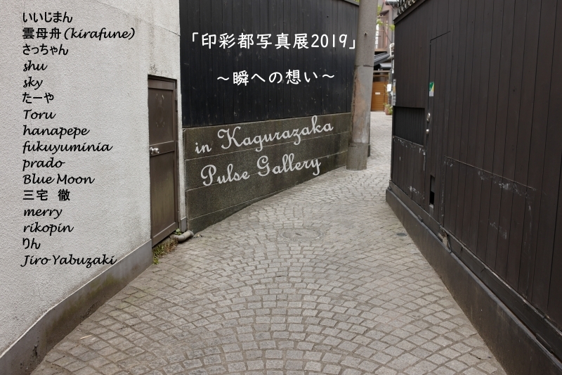 亀戸天神の藤まつり_a0169902_21195814.jpg