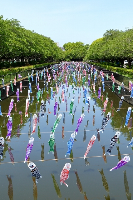 ギネスの世界記録に登録された鯉のぼり 群馬県の鶴生田川 旅プラスの日記