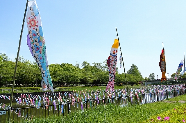 ギネスの世界記録に登録された鯉のぼり 群馬県の鶴生田川 旅プラスの日記 ギネスの世界記録に登録された鯉のぼり 群馬県の鶴生田川 旅プラスの日記