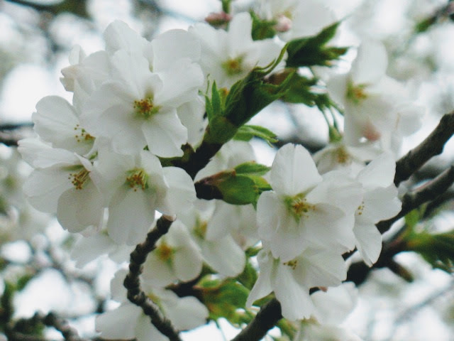 b0052803_19020155.jpg